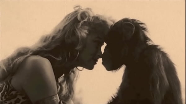 My Secret Life, Top Twenty 'Pussy And Pooch' My Secret Life, Top Twenty 'Pussy And Pooch'